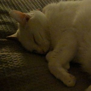 Meet your Posher, CM179